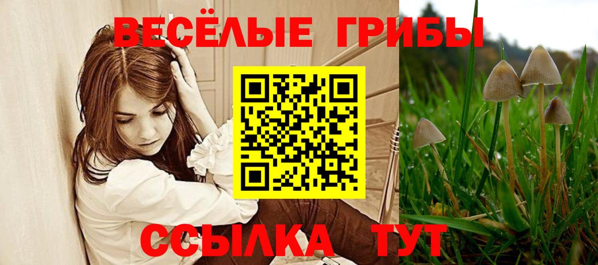 Галлюциногенные грибы прущие грибы  дарнет шоп  Бугульма  Вход с VPN  Псилоцибиновые грибы Magic Shrooms 